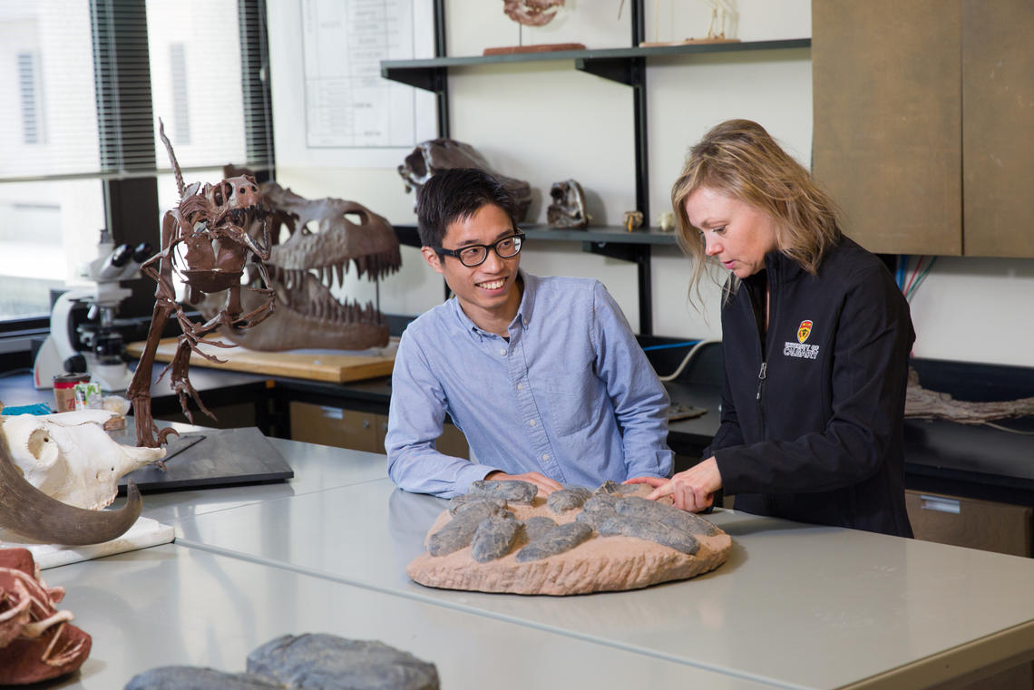 Working under the supervision of Darla Zelenitsky, assistant professor and a world expert in dinosaur eggs and nesting sites in the Department of Geoscience, Koehei Tanaka conducted an in-depth study of the egg porosity of 30 different dinosaur species.