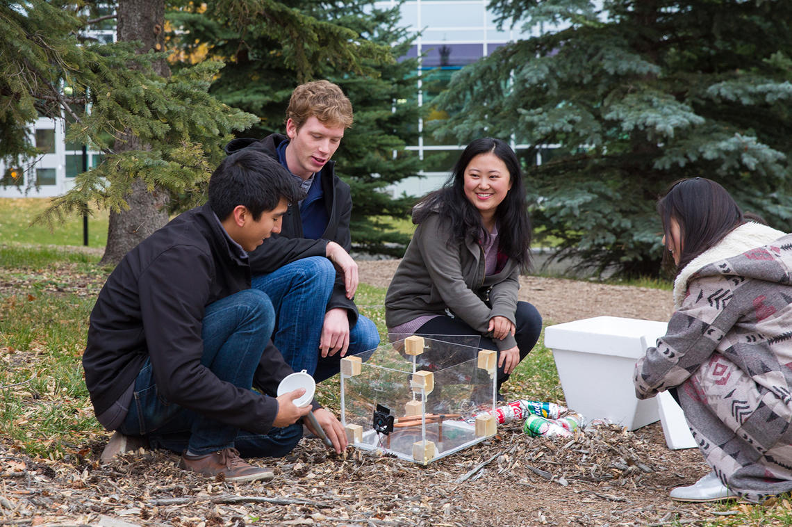From left: Engineering students Jorge Zapote, Mitchell Weber, Michelle Zhou, and Xi Cheng built WindChill, a food preservation system, which took first place in the student category in the Biomimicry Global Design Challenge, aimed at finding solutions borrowed from nature to improve the global food system.