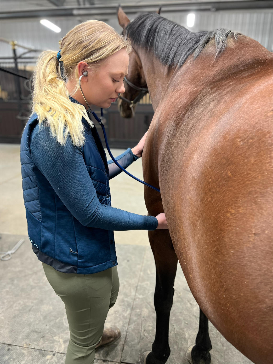 Nicole Phillips tends to a horse during fourth year rotations at TD Equine