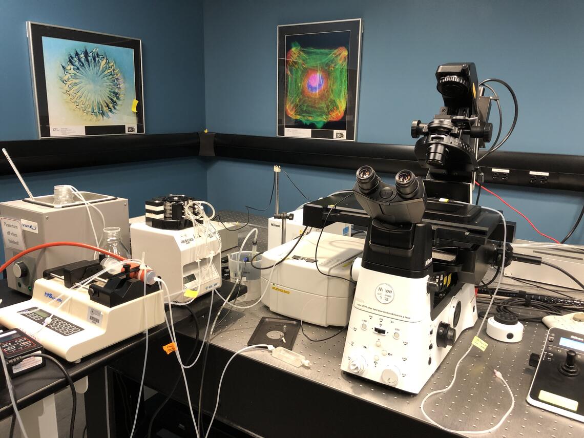 Live Cell Imaging Lab, Snyder Institute