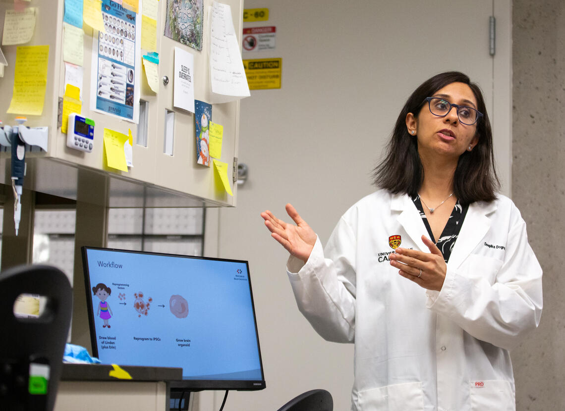 Deepika Dogra explains how organoids are created and grown in the Kurrasch lab