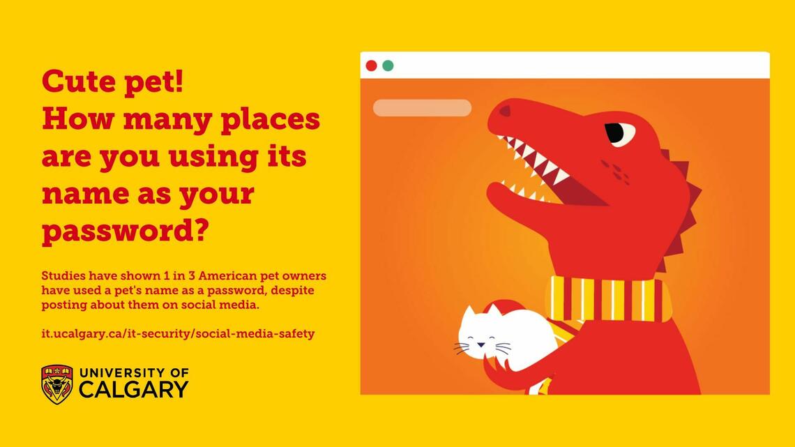 Social Media Awareness on Pet Passwords