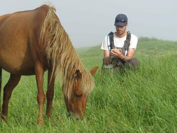 A person crouches down and takes notes next to a horse