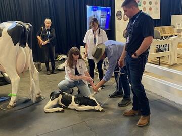 The Faculty of Veterinary Medicine demonstrations at the Stampede Grounds. 