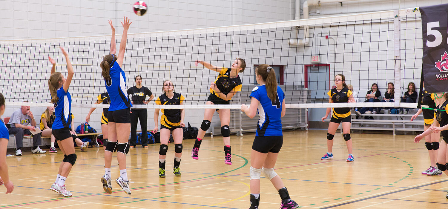 Court sports like volleyball have a higher risk of traumatic knee injuries among athletes