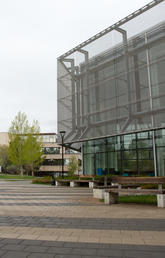 University of Calgary campus