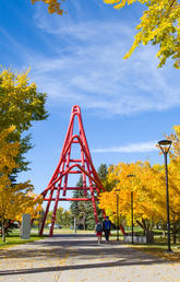 UCalgary campus in the fall