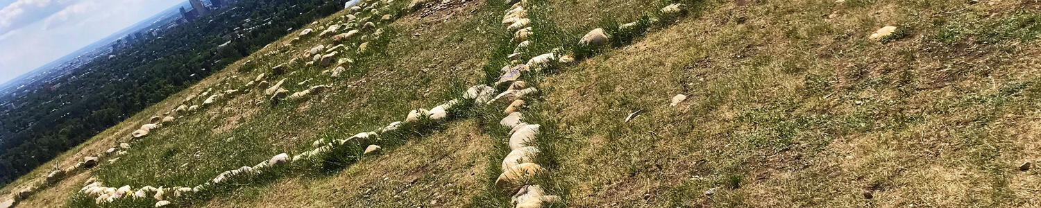 Photo courtesy of Dr. Brian R. Sinclair