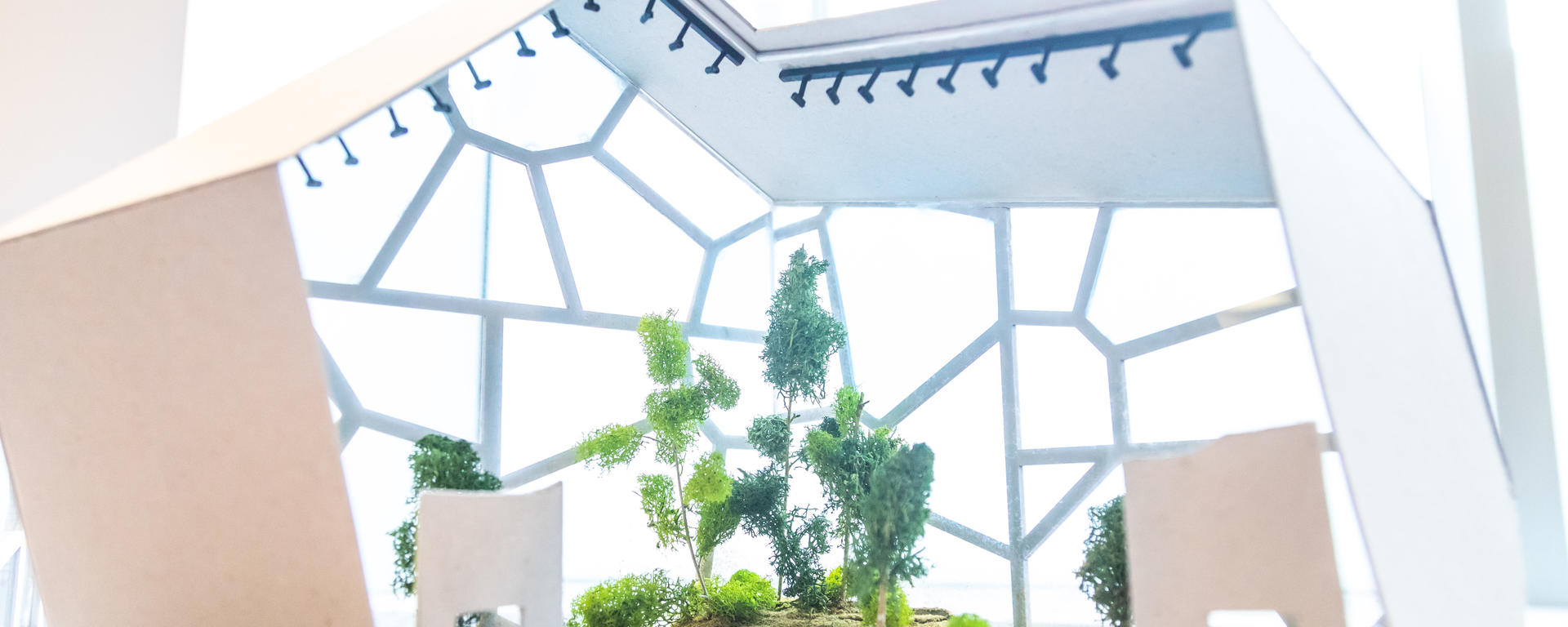 Final Reviews Fall 2020: Dec 10–18