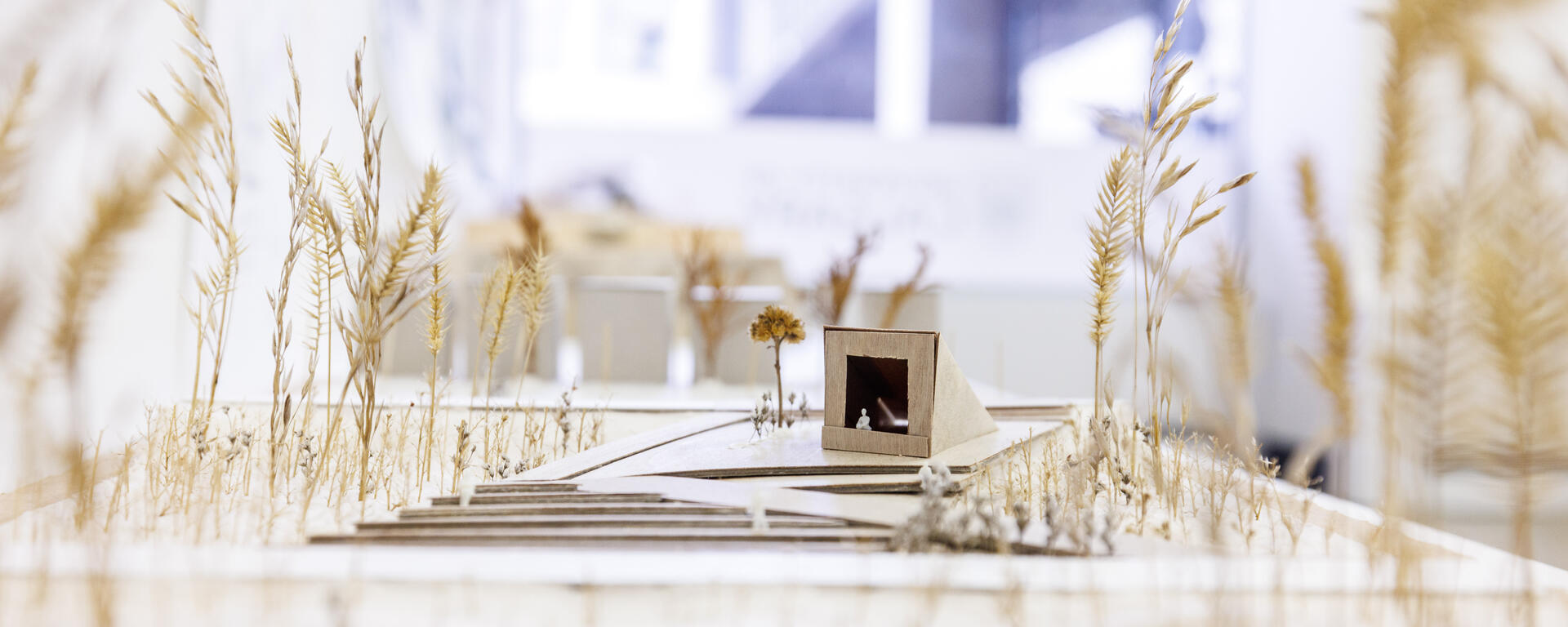 A wooden building model surrounded by wheat flowers.