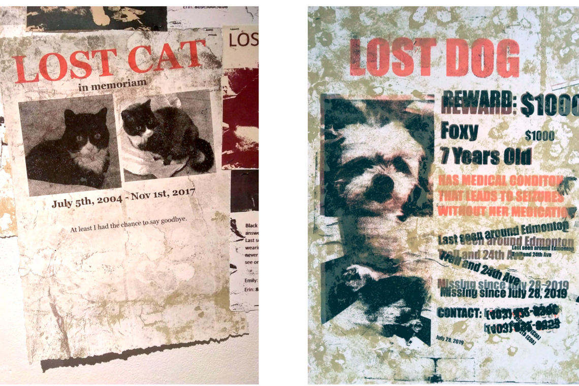 MArch Foundation Year - Jordan Friesen