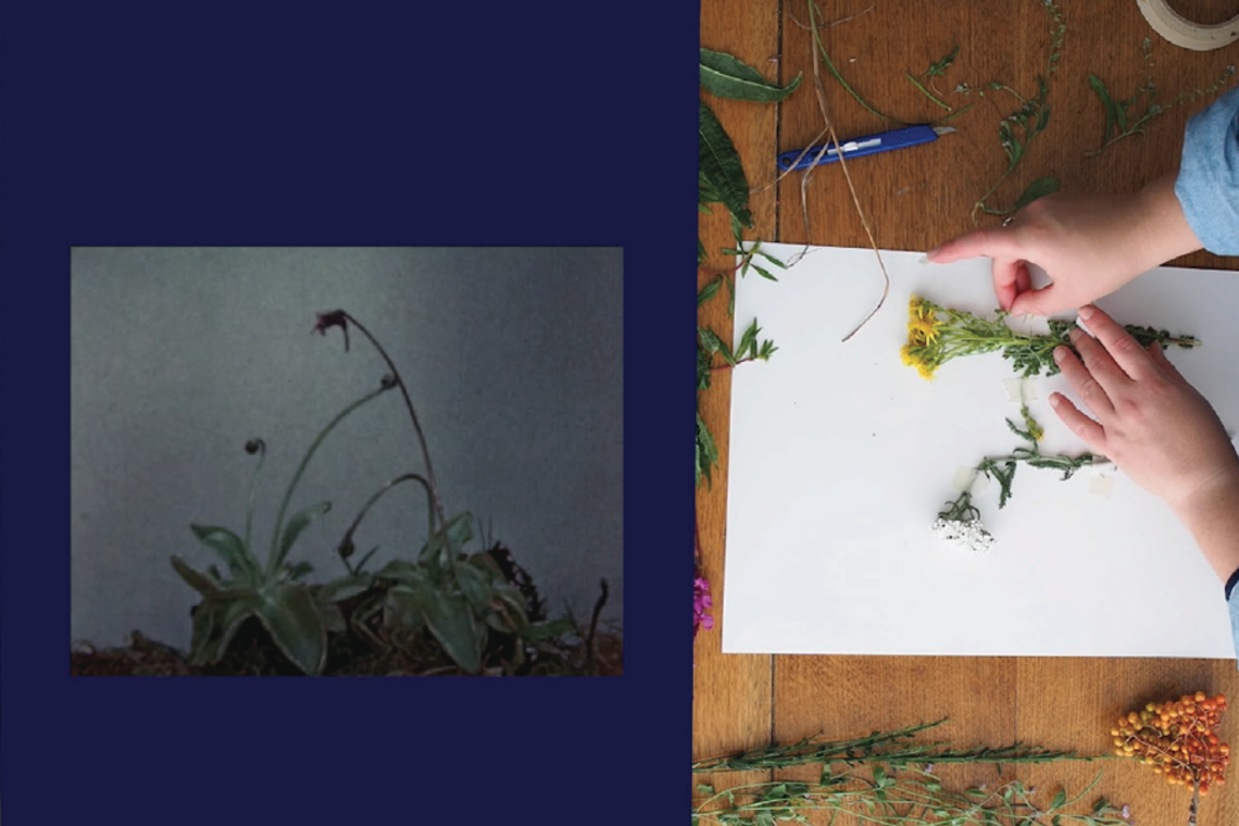 MLA - Natasha Jensen