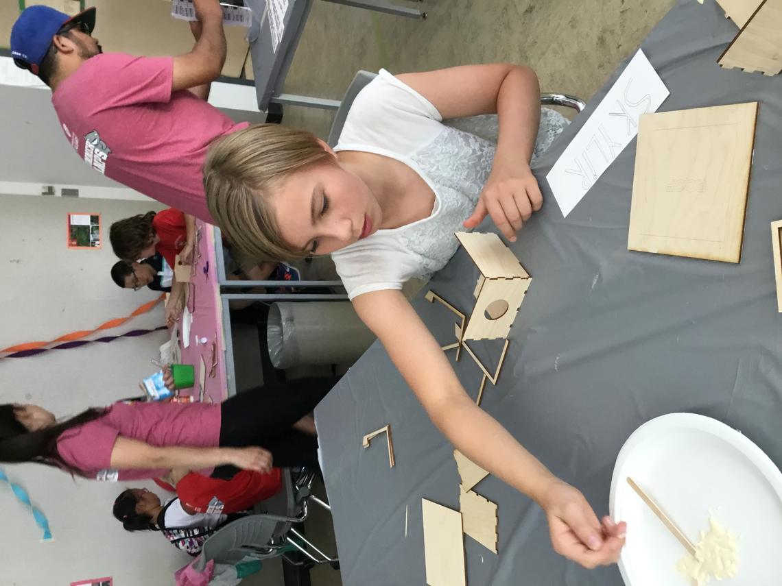 Building laser-cut bird houses