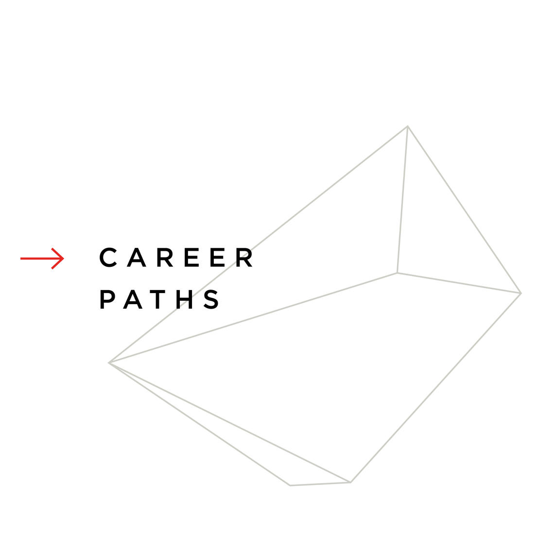 Career Paths