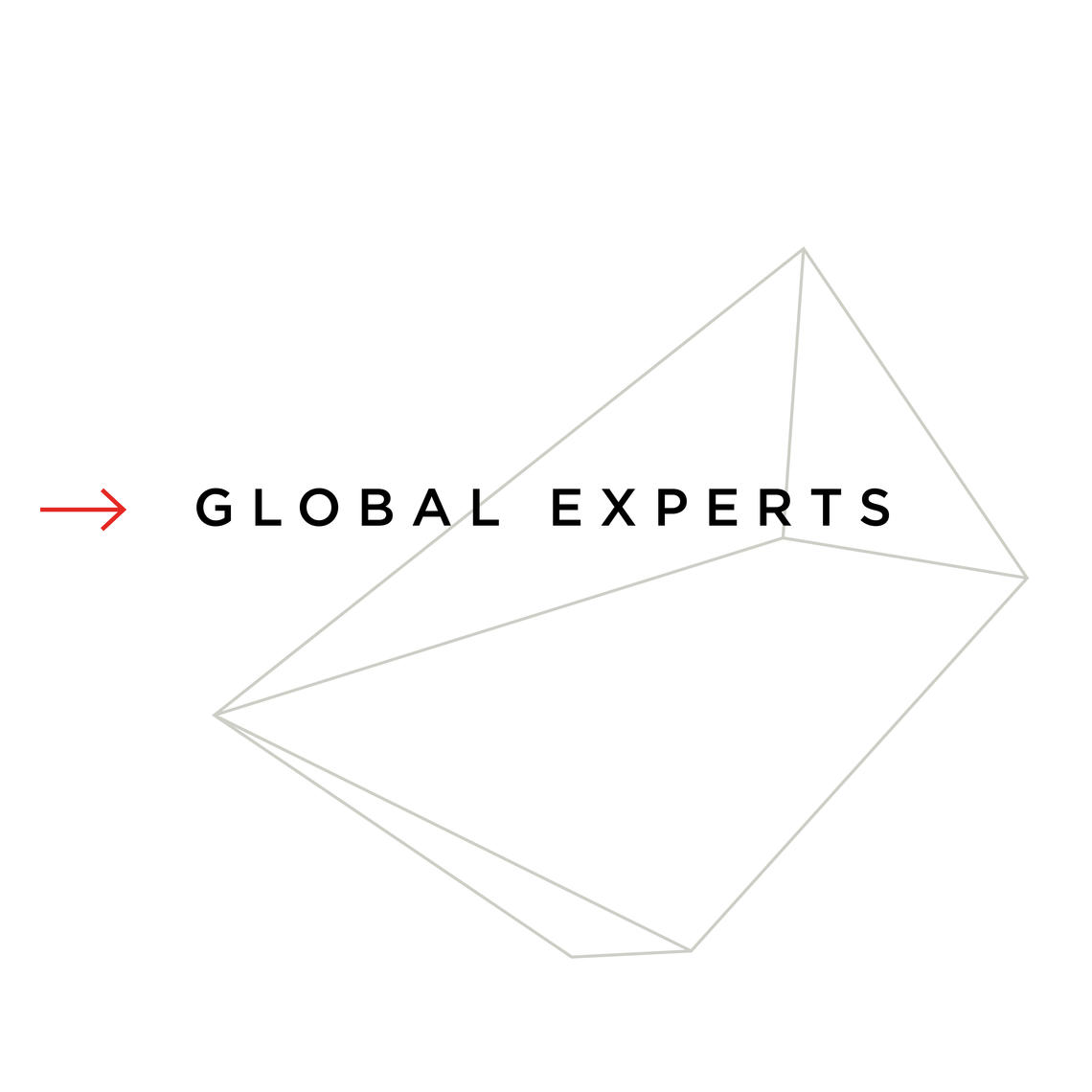 Global Experts