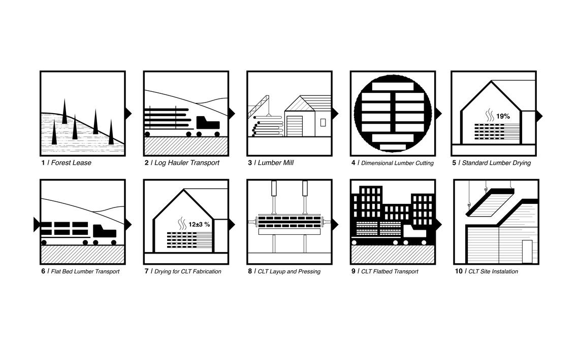 The Cross Laminated Timber (CLT) Supply Chain