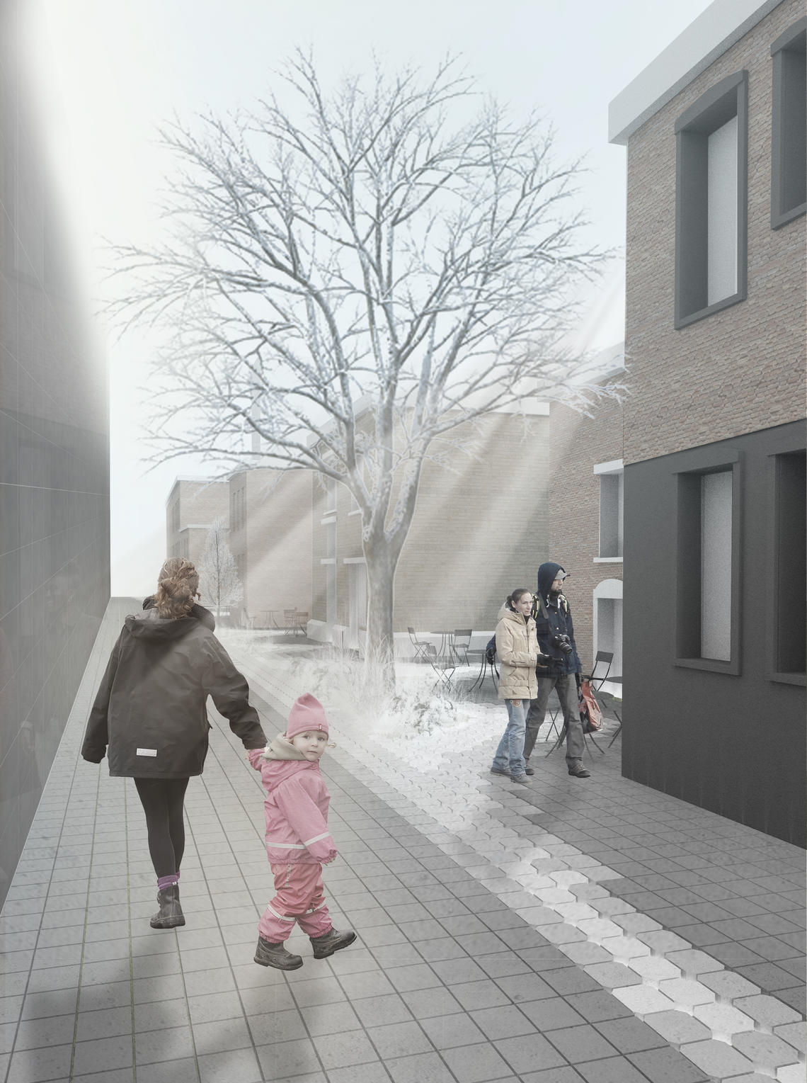 Green Alley Project, 2020 update: winter