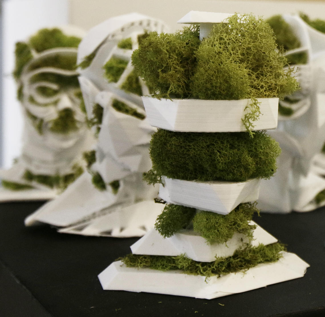 Oluwaseyi Arole: Procedural Passport