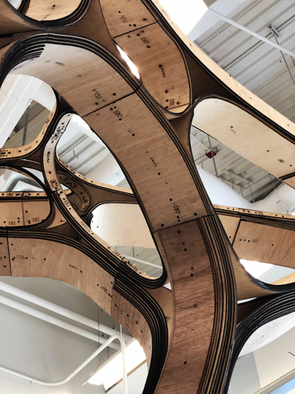 Timber Tectonics - ZHA CODE & SAPL LID