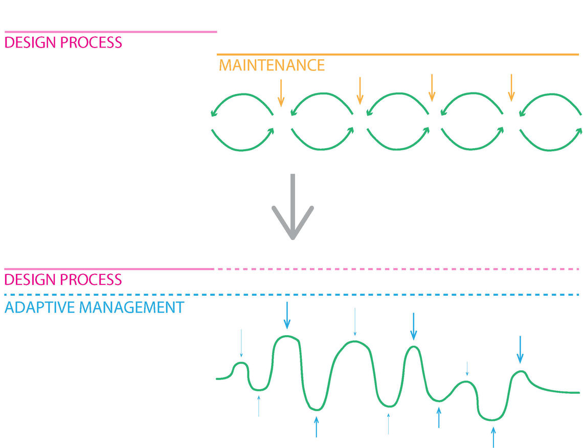 Towards and Ecological Model