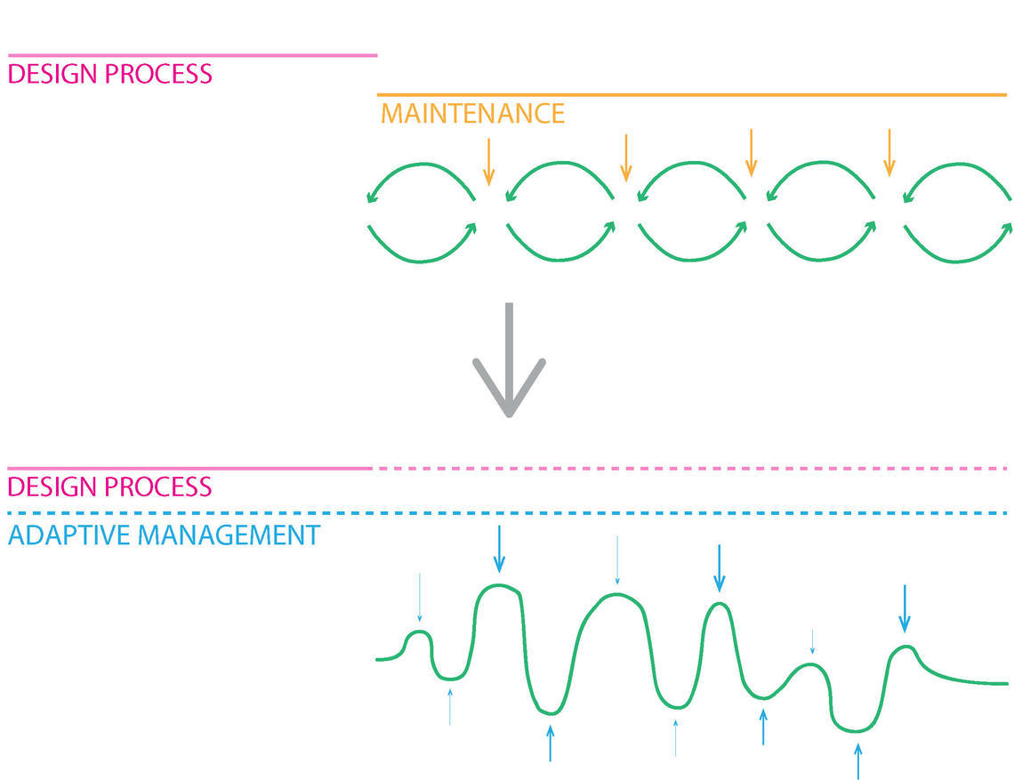 Towards and Ecological Model