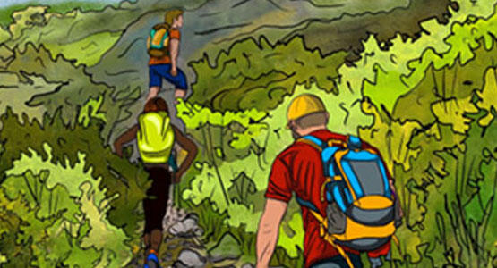 Drawings of people in a hike, surrounded by bright green trees