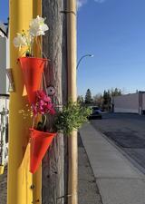 Thumbnail - Tactical Urbanism